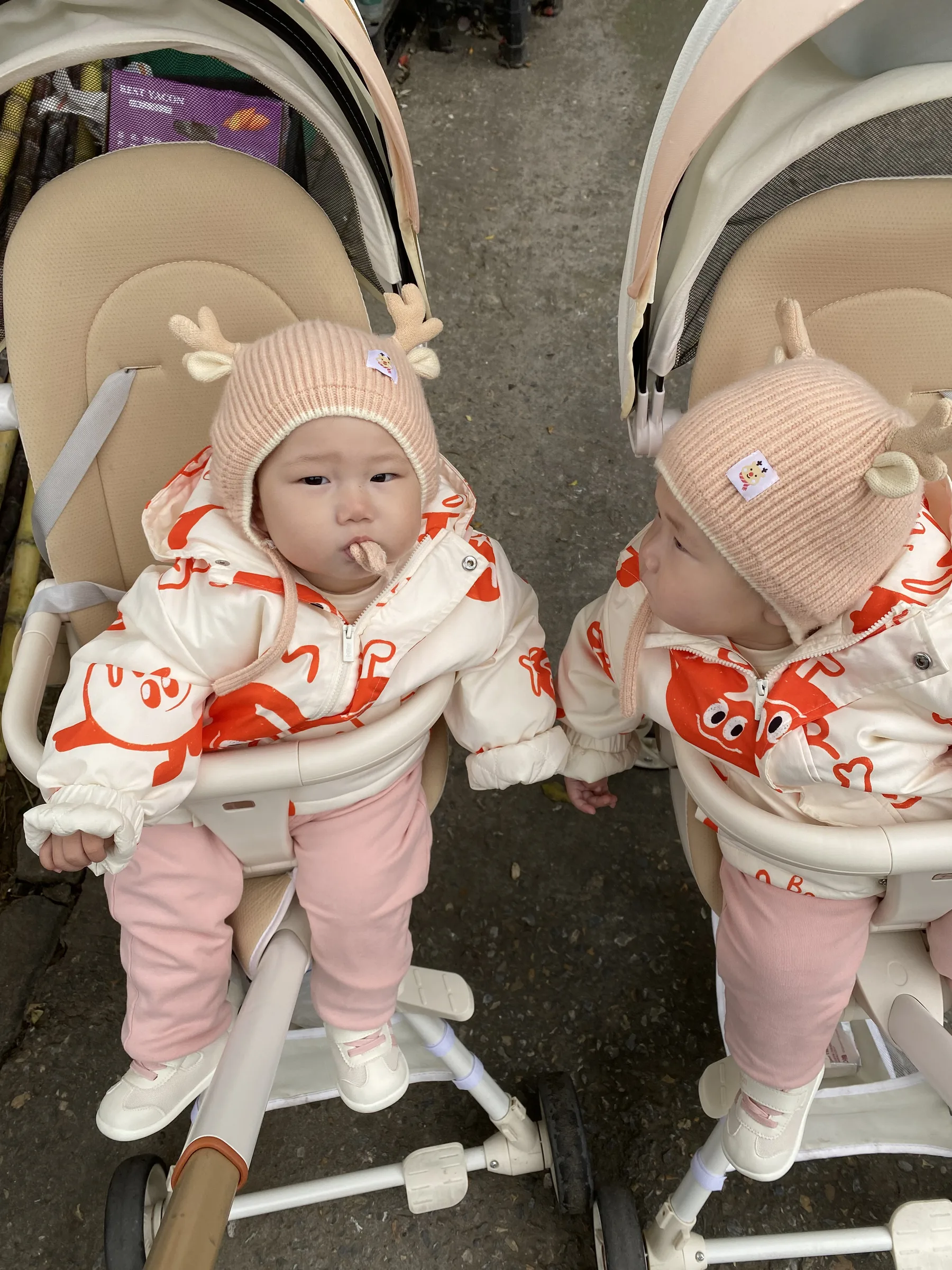 姐姐看妹妹