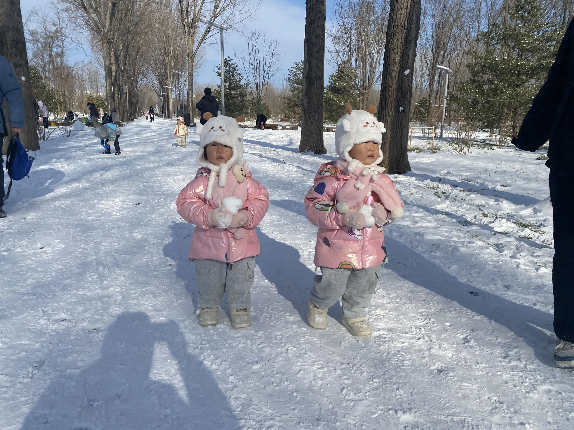 玩儿雪❄️喽