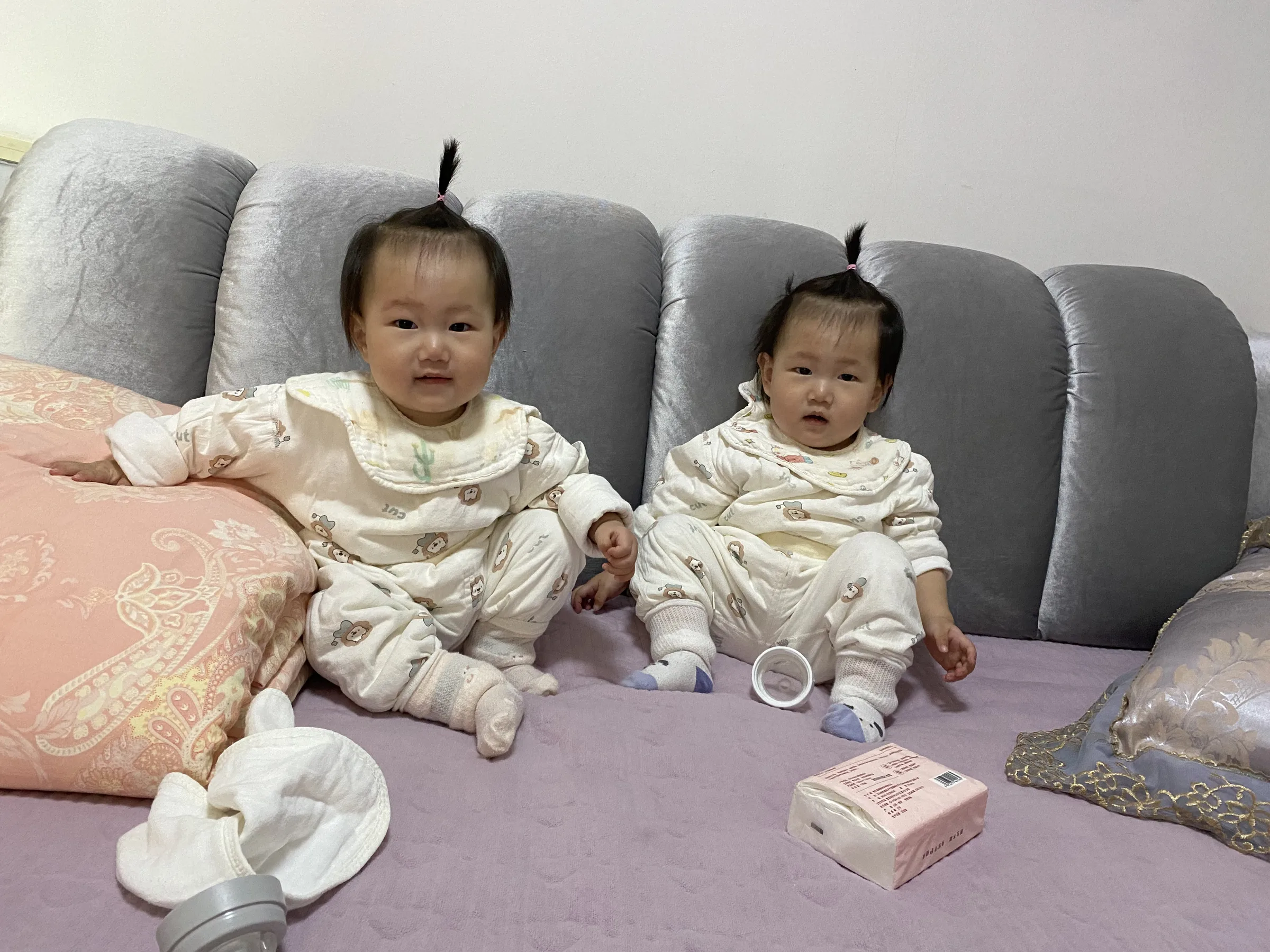 两个朝天辫