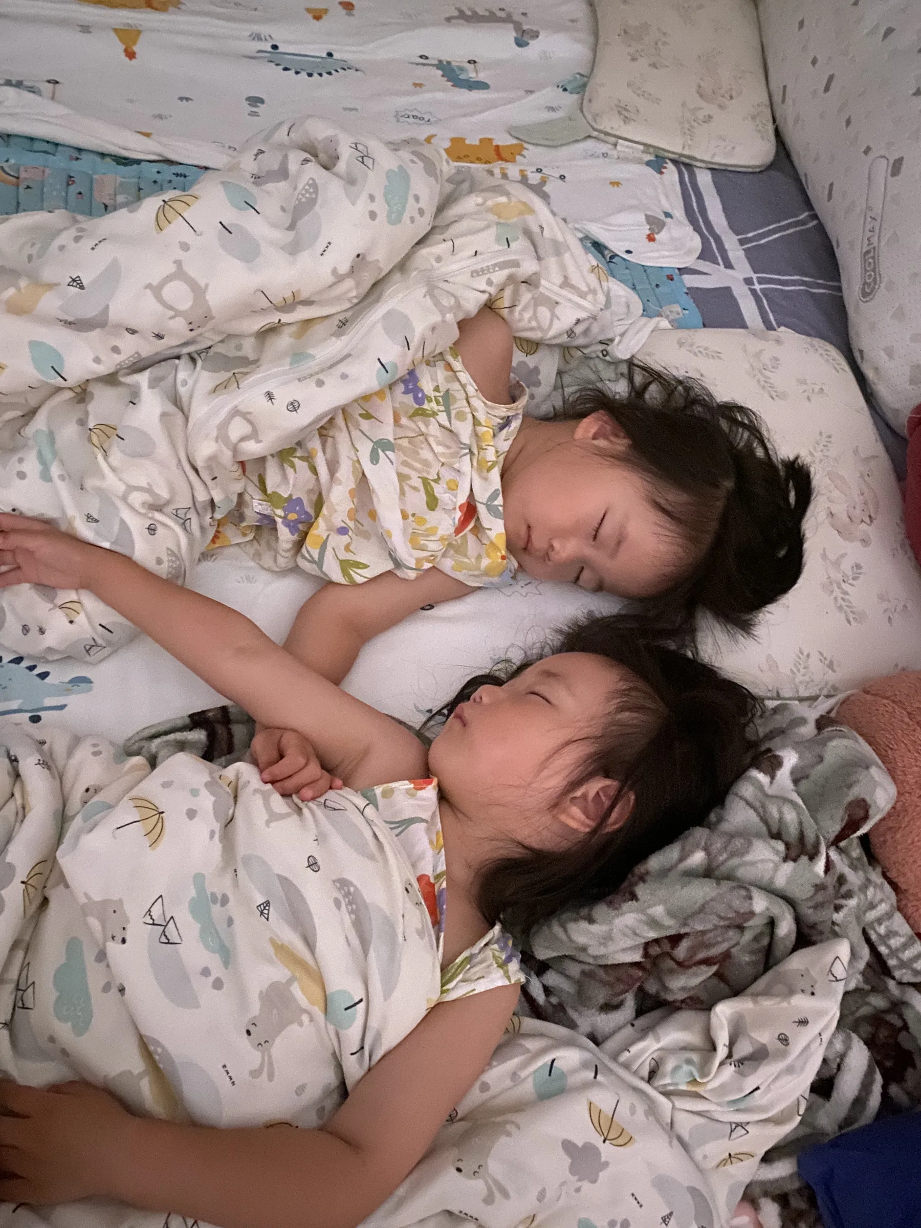 💤